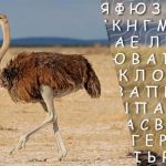 Μόνο άτομα με υψηλό IQ θα βρουν τη λέξη "στρουθοκάμηλος" σε 10 δευτερόλεπτα: ένα δύσκολο παιχνίδι παζλ Μόνο άτομα με υψηλό IQ θα βρουν τη λέξη “στρουθοκάμηλος”