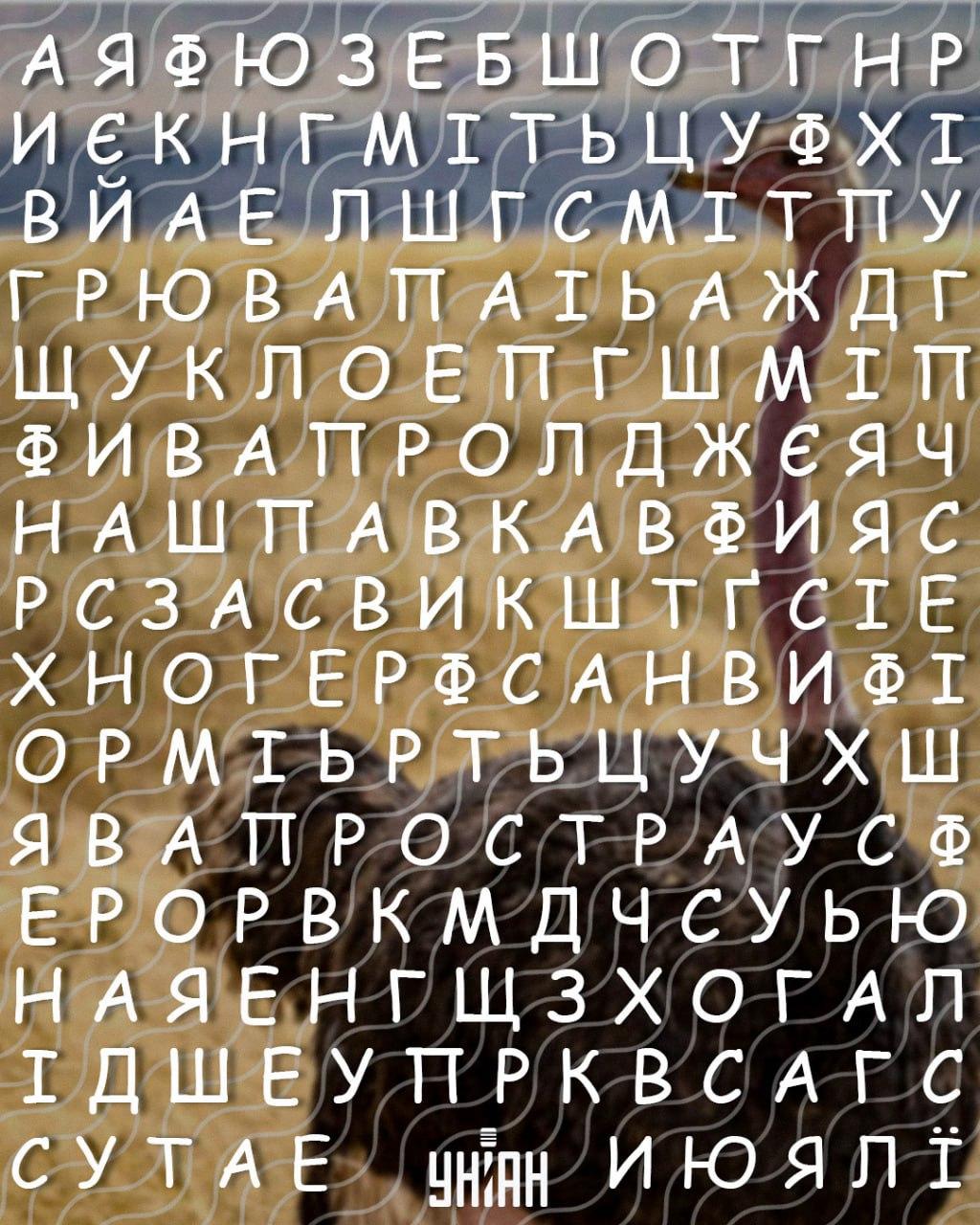 Μόνο άτομα με υψηλό IQ μπορούν να βρουν τη λέξη 