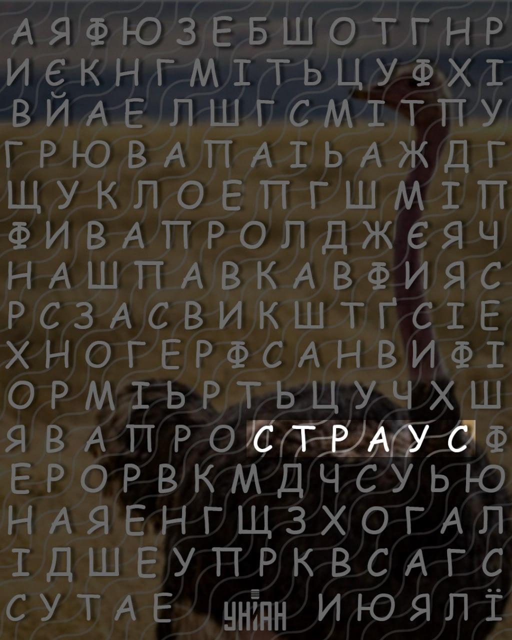 Μόνο άτομα με υψηλό IQ μπορούν να βρουν τη λέξη 