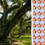 Μόνο το 2% των ιδιοφυιών θα βρει τη λέξη “δέντρο”