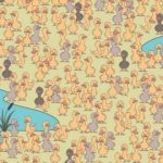 Ένα παζλ για διασκέδαση και εφευρετικότητα: πρέπει να βρείτε ένα