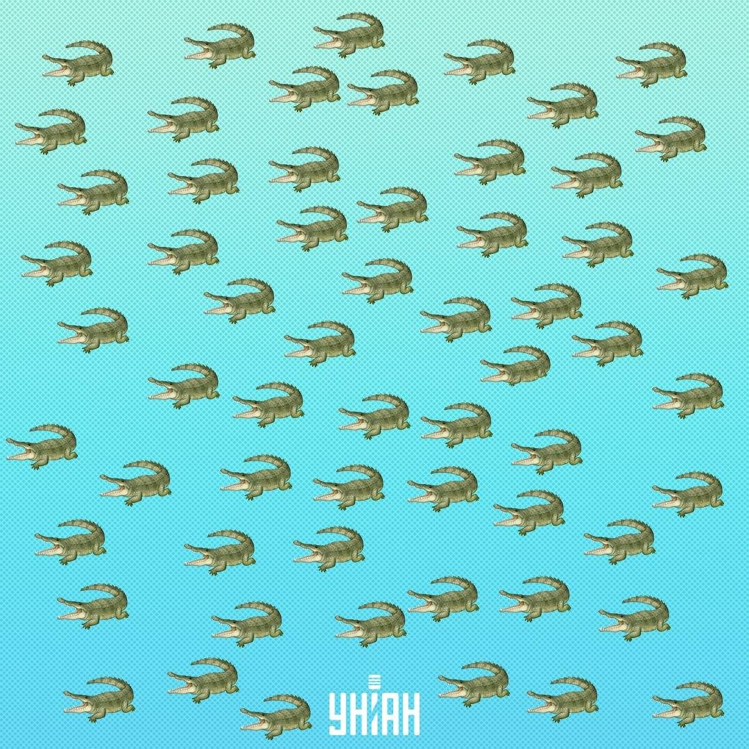 Το ερπετό είναι κρυμμένο, αλλά θα πρέπει να το δείτε σε 15 δευτερόλεπτα / Collage Moje