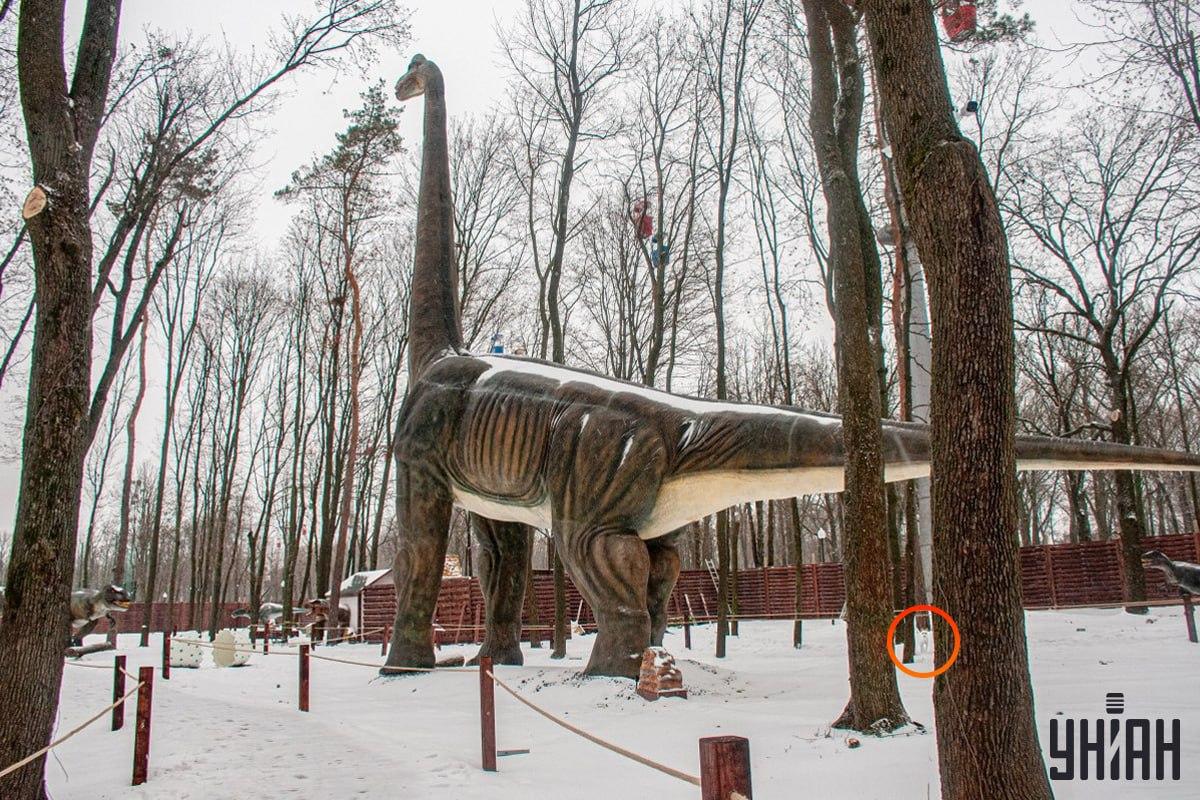 Ο σκύλος βρισκόταν κοντά στην κάτω αριστερή γωνία της εικόνας / Κολάζ Moje