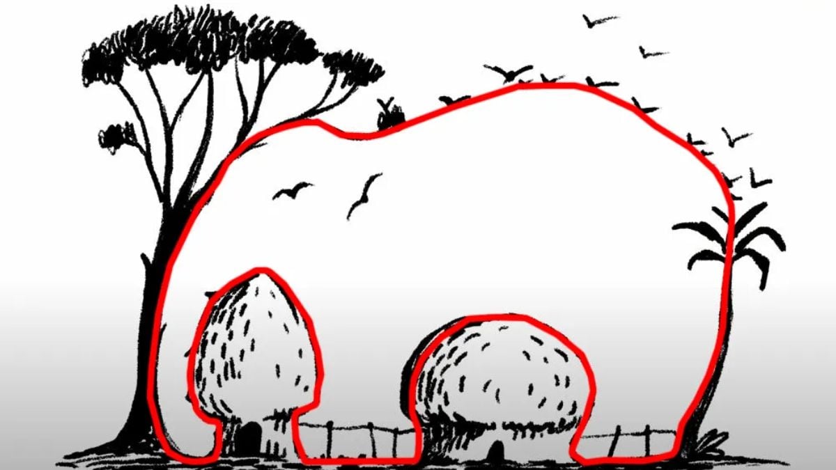 Λύση της οπτικής ψευδαίσθησης