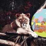 Αυτό είναι ένα έργο που μόνο λίγοι μπορούν να κάνουν: πρέπει να βρείτε ένα λιοντάρι στο πάρκο μέσα σε 6 δευτερόλεπτα. Αυτό είναι ένα έργο που μόνο λίγοι μπορούν να κάνουν: