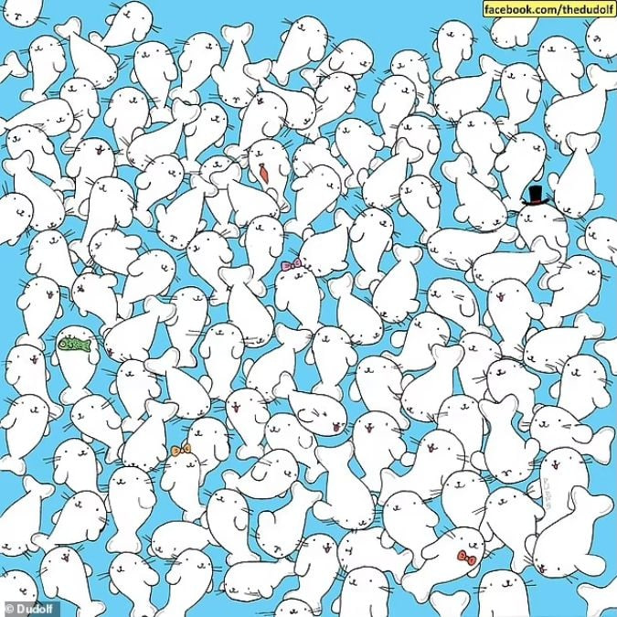 Ένας γρίφος για άτομα με καλή όραση: βρείτε το ζαχαρωτό ανάμεσα στις φώκιες σε 11 δευτερόλεπτα.