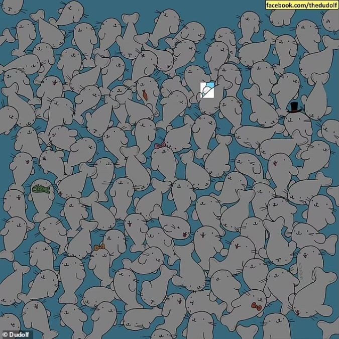 Ένας γρίφος για άτομα με κοφτερή όραση: βρείτε το ζαχαρωτό ανάμεσα στις φώκιες σε 11 δευτερόλεπτα