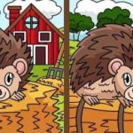 Σούπερ τεστ IQ: βρείτε 3 διαφορές σε εικόνες σκαντζόχοιρου σε