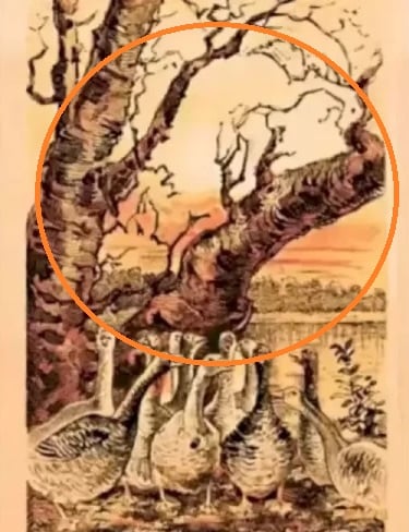 Οπτική ψευδαίσθηση