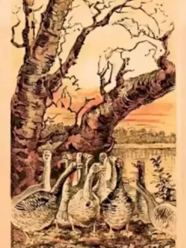 Οπτική ψευδαίσθηση