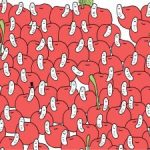 Παζλ για ανθρώπους με αετίσια μάτια: βρείτε ένα κεράσι χωρίς