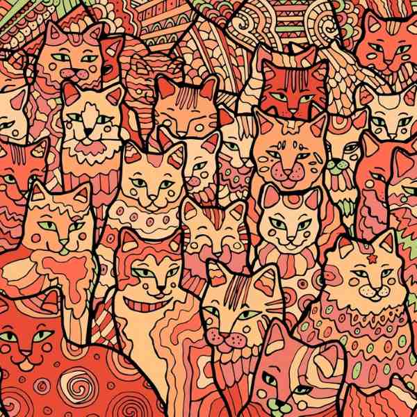 Οπτική ψευδαίσθηση για άτομα με αετίσια όραση: πρέπει να βρείτε ένα αστέρι ανάμεσα σε γάτες