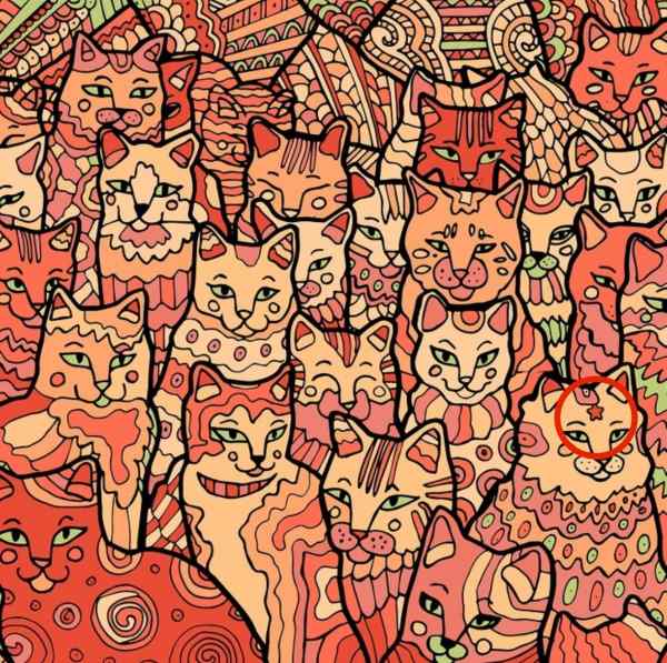 Οπτική ψευδαίσθηση για άτομα με αετίσια όραση: πρέπει να βρείτε ένα αστέρι ανάμεσα στις γάτες