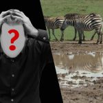 Γρήγορο τεστ IQ: βρείτε έναν σκύλο σε ένα χωράφι σε