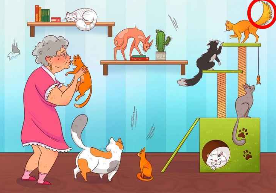 φωτογραφία από Brightside